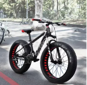 20/26 Inch Mountain Bike with Four Inch Fat Tire Snow Bicycle Disc Brake Ordinary Pedal 24 Speed Gears Steel Fork