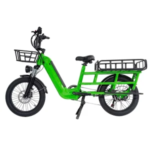 20*3.0In Electric Cargo Bike Disc Brake Aluminum Frame 48v 500w Electric City Bike Lithium Battery Motor Disc Brake System Green