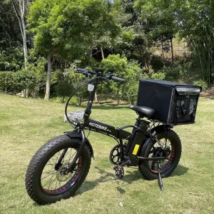 20-Inch Electric Hybrid Bicycle, 36V 250W/350W/500W/750W Adult Folding Electric Bike