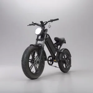 20*4” Tire 40-60 km Range Fat Bike Electric Bike Electric Motorcycles Electric Scooters Ebike Electric Bicycle