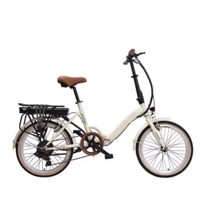 20-Inch 48V 1000W Steel-Frame Electric Off-Road Bike, Adult Folding Electric Bicycle