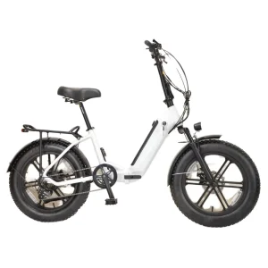 20″ Electric Bike 500W 48V 7 Speed FAT TIRE ELECTRIC BIKE Alloy Electric FOLDING Bicycle Electric Bike