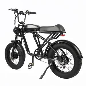20″ Fat Tire Electric Bicycle With 48V 2000W High Speed Brushless Front+rear Motor