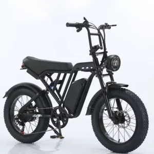 20″ Fat Tire Electric Bike 750 W Peak 1500W Motor 48 V Lithium Battery 7-Speed Disc Brake Aluminum Frame 30 MPH Top Speed