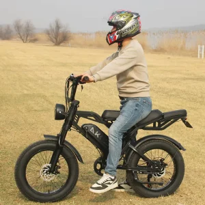 20″ Fat Tire Electric Bike High Carbon Steel Frame Dual Air Suspension 48V 750W Brushless Lithium Battery 7 Speed City Commute