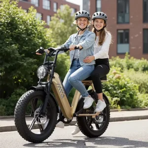 20 Fat Tire Electric Bike for Women and Family Cargo and City Commuting 48V 15Ah 750W Electric Bike