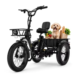 20″ Fat Tire Electric Cargo Bike 48V 14.5Ah 500W Hydraulic Brakes EU Warehouse Adults Cargo Freight Electric Bicycle