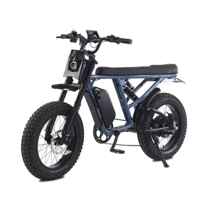 20” Fat Tire Electric Snow Bike 48V 1500W Rear Hub Motor Off Road E Bike for Mountain & Snow Adventure