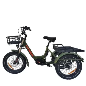 20 Fat Tyre Central Electric Tricycle 48V 1000W Three Wheel Cargo Bike Double Battery 120kg Load Capacity