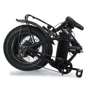 20” Foldable Electric Mountain Bike Folding Electric Bike with 750W Rear Hub Motor Down Tube Lithium Battery