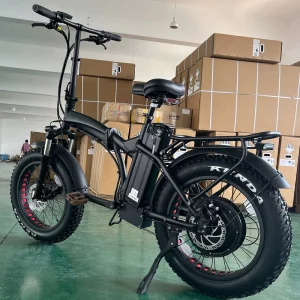 20 Inch 1000W Folding Electric Mountain Bike with Fat Tires