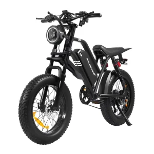 20 Inch 1500W Ebike Adult Full Suspension E Fat Tire Mountain Bike Men’s Electric Mtb Dirt Pit Bicycle US Warehouse