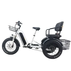 20 Inch 3 Wheel Fat Tires Bikes Adult Tricycle with Rear Hub Motor Lithium Battery for Women Seniors Men