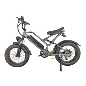 20-Inch Adult Electric Hybrid Bicycle, 1000W Fat Tire
