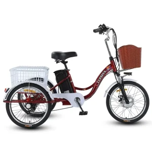 20 Inch 48V 350W Brushless Rear Hub Motor 3-Wheel Electric City Bike 7-Speed Disc Brake Lithium Battery Pedicab