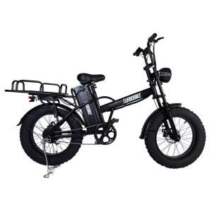 20 Inch 750W Electric Cargo Bike Two Wheel Scooter Design 150kg Capacity Waterproof Foldable 50 60km Range for Food Delivery