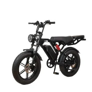 20 Inch 750W Full Suspension Fatbike Electric Assist Mountain E Bike Rear Hub Motor Lithium Battery