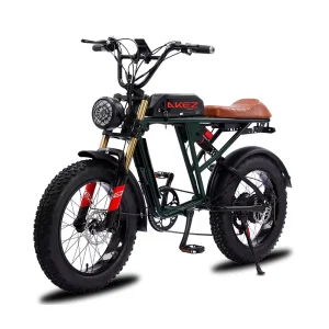 20 Inch 750w Fat Tire Ebike Hybrid E off Road Bike Adult Electric Mountain Dirt Sport Bicycle for Adults US EU Warehouse