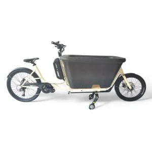 20 Inch Alloy Frame Cargo Bike with Children Seat