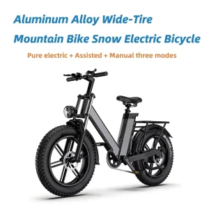 20 Inch Aluminum Alloy Wide Tire Snow Electric Mountain Bike Factory Supplier