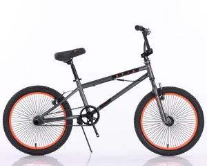 20 Inch BMX Bike Freestyle Bicycle with V Brake for Competition