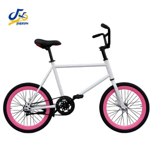 20 Inch BMX Bike Stunt Tricks Freestyle Fixed Gear Mini Bike Dual Disc Brakes Durable Performance Portable Bike