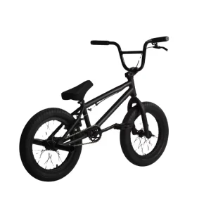 20 Inch BMX Bike for Kids, Steel Fork, Single Speed, V Brake