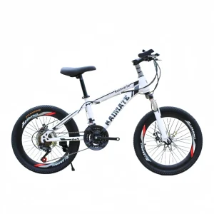 20 Inch BMX Kids’ Bike With 21 Speed Steel Frame Colorful Spokes Disc Brake System Ordinary Pedal