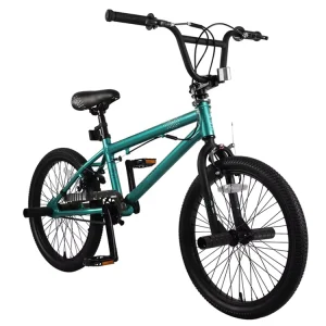 20 Inch BMX Racing Bike with Customizable Color Mini Steel Frame Single Speed Gears for Boys Girls Sports Bicycle Ordinary Pedal