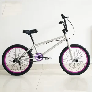 20 Inch BMX Street Flatland Bike