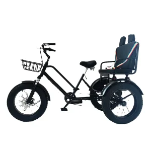 20 Inch Cargo Bicycle with Fat Tire 3-Wheel Adult Passenger Bike Standard Frame Inflated Front Wheel