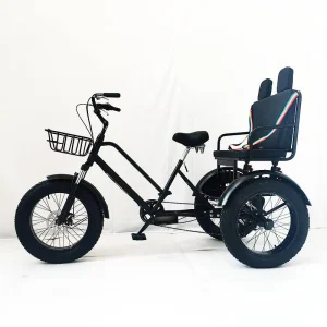 20 Inch Cargo Bicycle with Fat Tire 3 Wheel Adult Passenger Bike Standard Frame and Front Wheel Pedal Tricycle