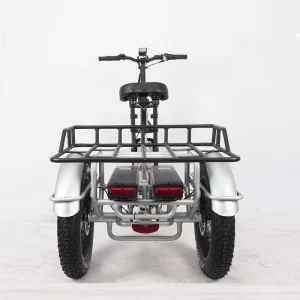 20 Inch Cargo Electric Tricycle 3 Wheel Adults Electric Bike Fat Tire Mid 750W 1000W Tricycle Cycle Torque Sensor
