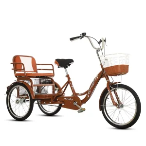 20 Inch Closed Tricycle Cargo Tricycle Made in China