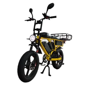 20 Inch Dual Motor 2000W 52V 66Ah Electric Cargo Bike Mountain Ebike Full Suspension Fat Tire Electric Bike