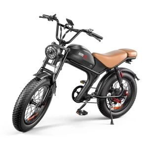 20 Inch Electric Bicycle 48V 7 Speed Long-Range Single Dual Motor LCD Display Fat Tyre C93 Electric Bike