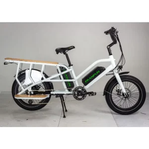 20 Inch Electric Cargo Bike Velo Electrique 48V750W Electric Hybrid Bicycle