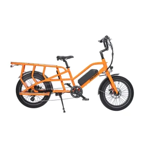 20 Inch Electric Cargo Bike with Middle Motor 48V 750W