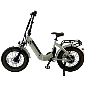 20 Inch Electric Foldable Bike 48V 250W 10Ah Hidden Battery Step Thru Folding Ebike for Commuters