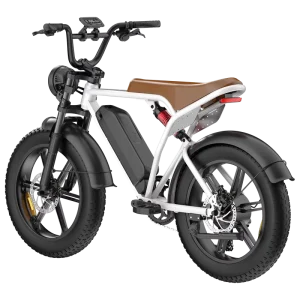 20 Inch Fat Tire 750W 48V 15AH 45KM/H Electric Bike Carbon Steel Frame Disc Brakes Electric City Bike