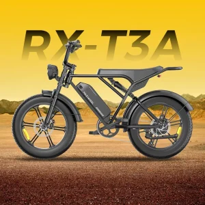 20 Inch Fat Tire 750W 48V 15AH 45KM/H Electric Bike Carbon Steel Frame Disc Brakes Electric City Bike