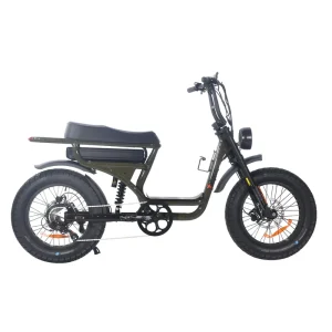20 Inch Fat Tire Electric Bicycle 48V 500W Fat Tire Mountain Electric Bike