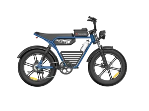20 Inch Fat Tire Electric Bike 750W 48V 15AH 45KM/H Dual Disc Brakes Carbon Steel City Ebike