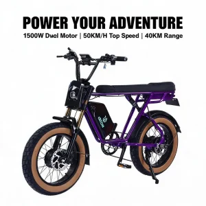 20 Inch Fat Tire Electric Mountain Bike High Carbon Steel Soft Tail Dual 750W 48V 25Ah Hydraulic Disc Brake Waterproof Road Snow