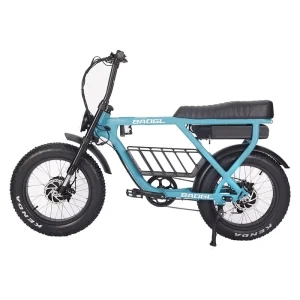20 Inch Fat Tire Electric Mountain Bike Professional Ebike 48V Rear Hub Motor Lithium Disc Brake off Road Vehicle