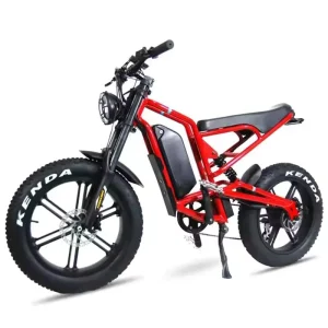 20 Inch Fat Tire Electric Mountain Bike with Detachable 48V 500W E Bike Aluminum Alloy Integrated 750W Motor Power