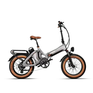 20 Inch Fat Tire Folding Electric Bicycle 750W Lithium Battery Magnesium Alloy 69pcs 20FT Bulk