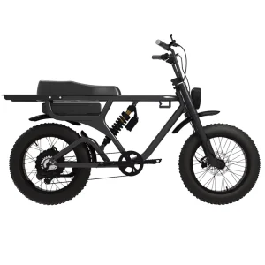 20 Inch Fat Tire Mountain Bike Electric City Bike Long Distance Dual Seats 48V Dual Suspension Fork Electric Bikes