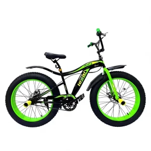 20 Inch Fat Tire Mountain Bike with 4.0 21Speed Disc Brake Steel Fork Soft Tail Frame Magnesium Alloy Rim for Boys Girls