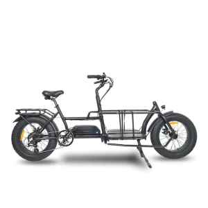 20 Inch Fatbike Electric Family Cargo E Bike Brushless 48V 250W 500W 750W Lithium Battery Rear Hub Motor